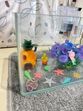 Aquarium lepet bending / melengkung all in