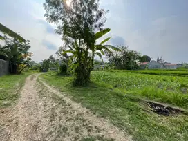 Tanah Murah 3 JUTAAN Jogja, Jl. Kaliurang Dekat Kampus UGM