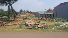 cocok untuk investasi area Gn.Sindur Kavling siap bangun hanya 1,8jt