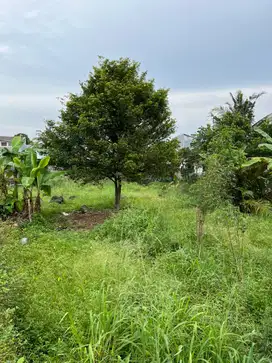 Dijual Tanah 1638m2 SHM di Ciapus Bogor By Rumah Chinida