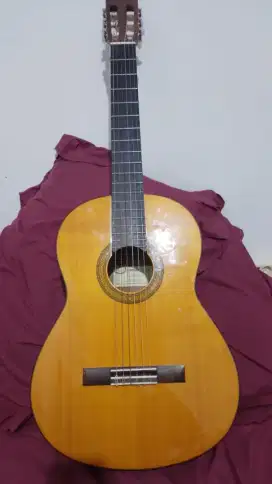 Gitar Yamaha Cgx 102