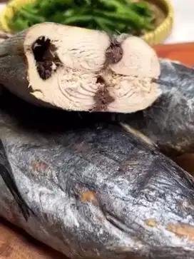 Ikan tongkol mateng dan mentah ready
