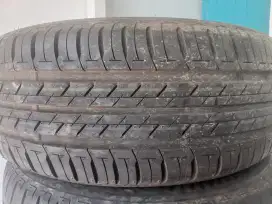 Ban  Bekas Bridgeston Ecopia r16 205 55