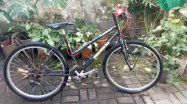 Federal pussy cat lady original siap gowes