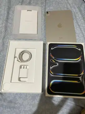 Ipad pro M4 256 wifi garansi on september 2025