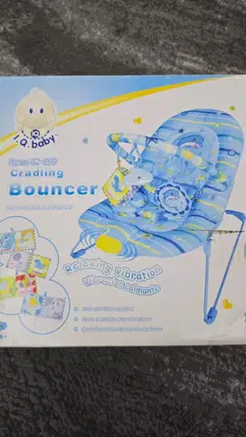 IQ Baby Bouncer