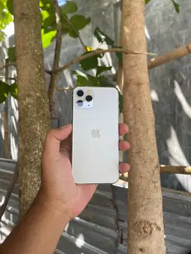 iPhone 11 Pro 256 (beacukai) mulussss