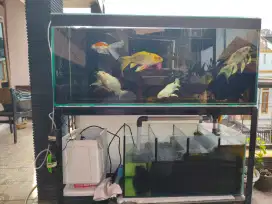 Jual aquarium sum filter