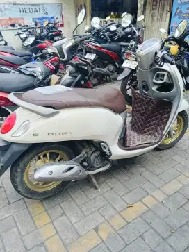Scoopy kyles 2021