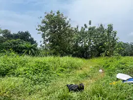 Tanah Kavling Area Gunung Putri, Bisa cicil 12x Tanpa Bunga, SHM