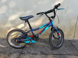 Sepeda Anak Polygon BMX Champ 16 Black