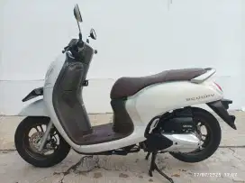 honda scoopy prestige