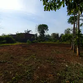 Tanah murah luas 169 meter karangploso malang