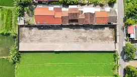 Tanah Apik Jl Damai Area Homestay Kaliurang