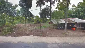 Kavling Jl. Mancak Raya, Serang, 9.105 m², SHM