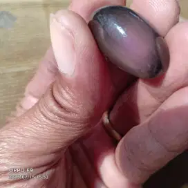 Batu Akik Mata Dewa Rainbow