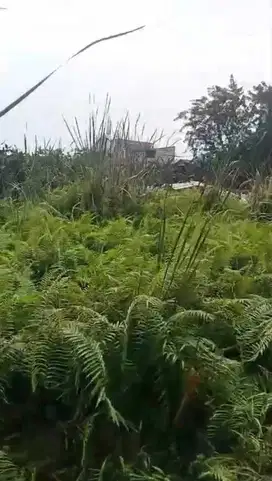 Di Jual Tanah Kalideres Jakarta Barat
