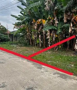 Dijual Tanah KM9 Kebun bunga