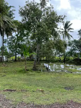 DiJual Tanah 800m²