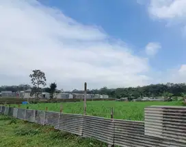 Kapling murah malang kedungrejo hanya 1 juta