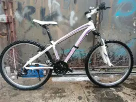 Sepeda MTB polygon cleo 1 alutech6061
