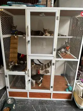 Kandang kucing bekas 3 lantai