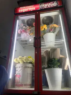 Showcase 2 pintu