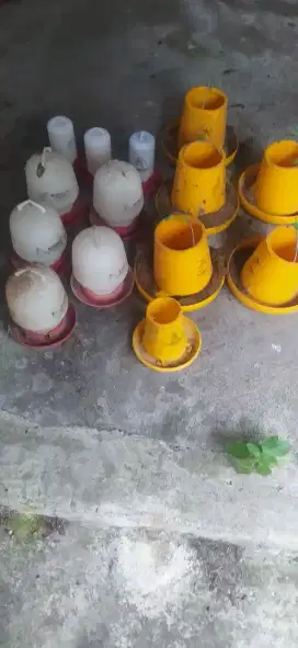Wadah makan dan minum ayam