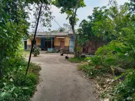 Dijual tanah SHM sawah bonus rumah jl Kaliurang km 12 Gatak Ngemplak