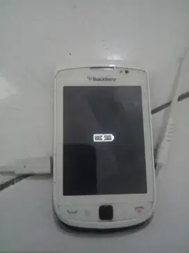 Blackberry Torch