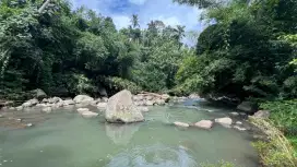 Jual tanah Los sungai cantik di tabanan bali