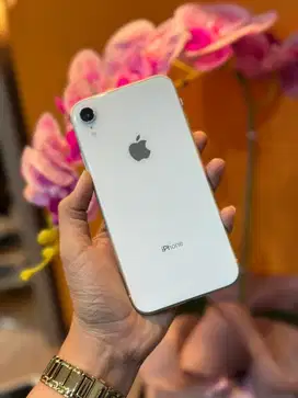 iphone xr 64 beacukai