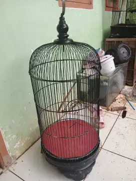 Kandang lovebirds