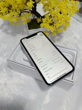 IPHONE XR 256GB SECOND INTER