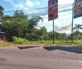 Murah Tanah Kavling Luas Jalan Raya Lembang