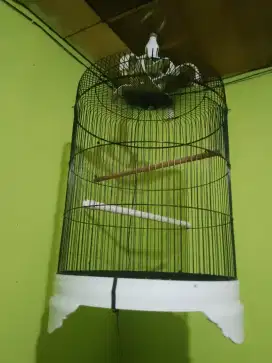 kandang love bird jumbo