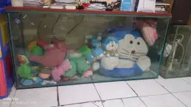 ikan hias discus