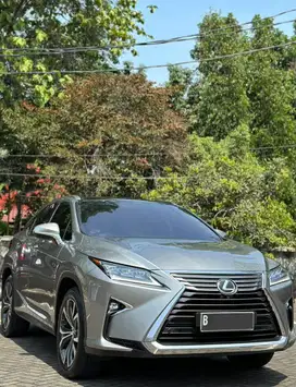 Lexus Rx300 Luxury 2019 Pemakai
