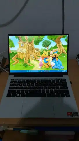 Laptop Advan Workplus AMD Ryzen 5