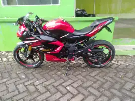 Kawasaki ninja SL mono 250 RR
