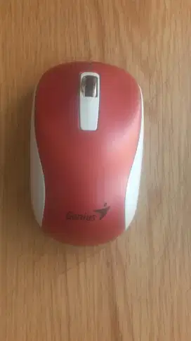 Mouse Wireless dogle usb Genius