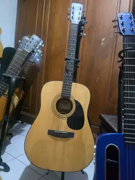 Gitar Cort Ad810 op