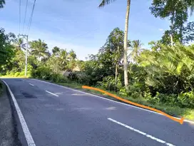 Dijual Tanah Murah Dekat Pasar Turi Tepi Jalan Raya Cocok Bikin Villa