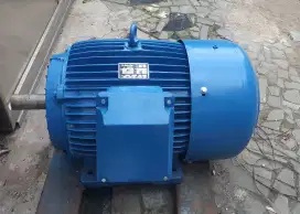 Dinamo ELEKTRIM (Poland) 75 HP/55 KW 1483RPM