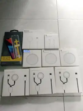mage safe iPhone