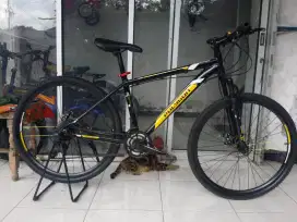 Sepeda gunung MTB polygon Monarch 5