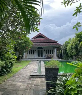 Tanah bonus villa & Swimming pool in umalas 1 kerobokan