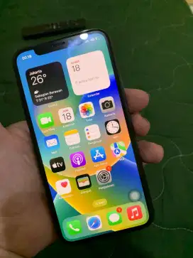 Iphone X 256Gb All operator