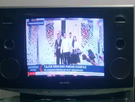 TV SHARP SLIM NORMAL