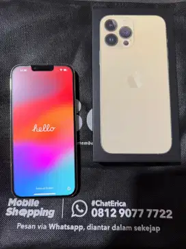 Iphone 13 pro max 256GB